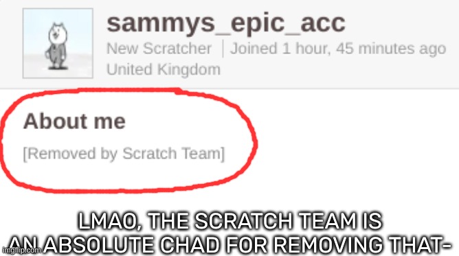 LMAO, THE SCRATCH TEAM IS AN ABSOLUTE CHAD FOR REMOVING THAT- | made w/ Imgflip meme maker