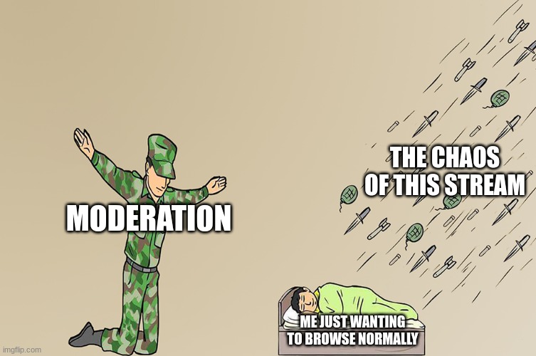 No offense to anybody or anything, I'm a part of moderation too lol- | THE CHAOS OF THIS STREAM; MODERATION; ME JUST WANTING TO BROWSE NORMALLY | image tagged in soldier not protecting child | made w/ Imgflip meme maker