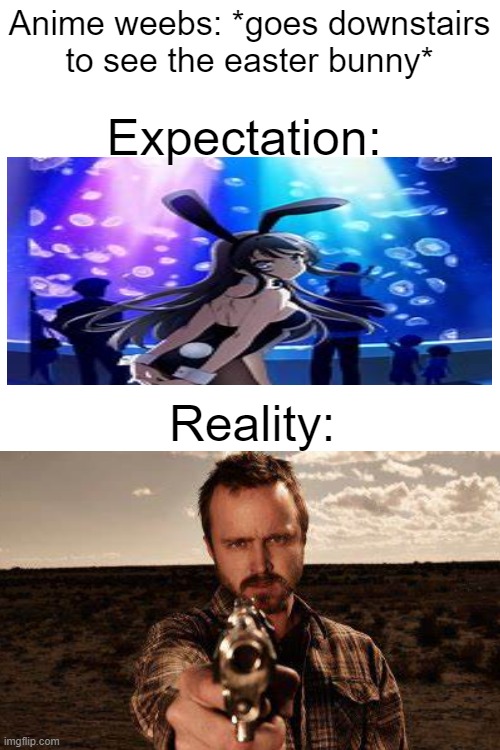 Jesse Easterman | Anime weebs: *goes downstairs to see the easter bunny*; Expectation:; Reality: | image tagged in blank white template | made w/ Imgflip meme maker