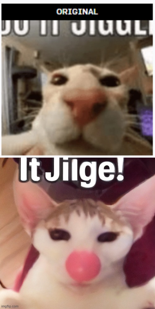 It Jilge! | made w/ Imgflip meme maker