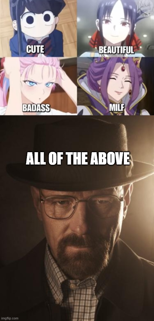ALL OF THE ABOVE | image tagged in walter white | made w/ Imgflip meme maker