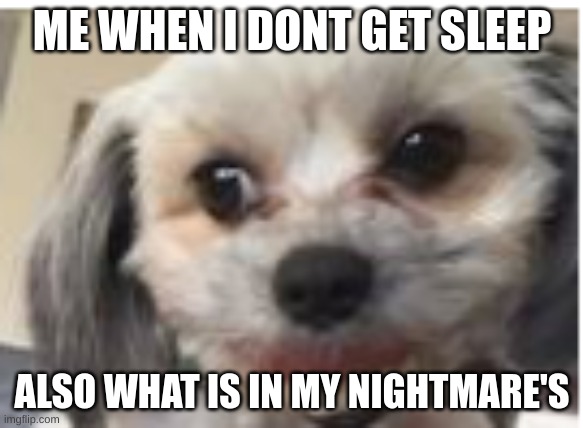 smiledog | ME WHEN I DONT GET SLEEP; ALSO WHAT IS IN MY NIGHTMARE'S | image tagged in smiledog | made w/ Imgflip meme maker