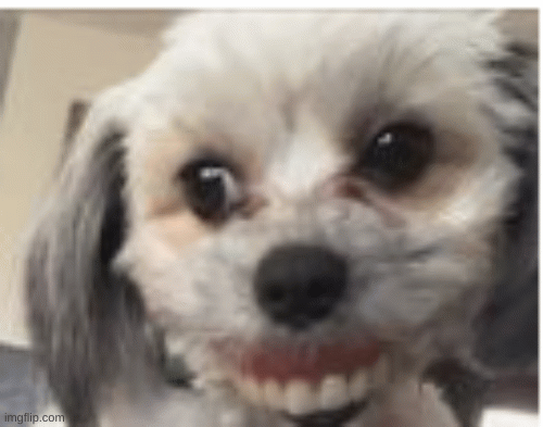 smiledogs | image tagged in creepy smile | made w/ Imgflip images-to-gif maker