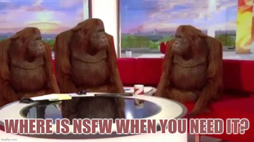 orangutan interview | WHERE IS NSFW WHEN YOU NEED IT? | image tagged in orangutan interview | made w/ Imgflip meme maker