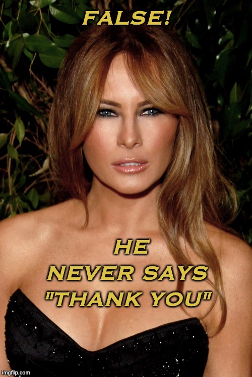 melania trump | FALSE! HE NEVER SAYS
"THANK YOU" | image tagged in melania trump | made w/ Imgflip meme maker