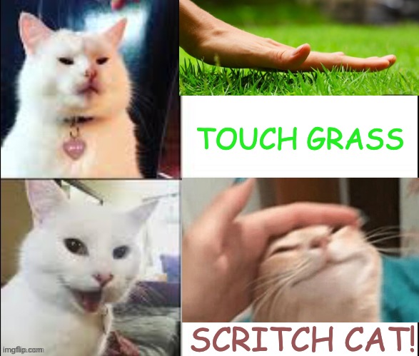 Our Feline Lord and Master has spoken | TOUCH GRASS; SCRITCH CAT! | image tagged in hotline bling cat,cat,pet | made w/ Imgflip meme maker