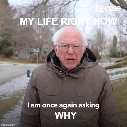 Bernie I Am Once Again Asking For Your Support | MY LIFE RIGHT NOW; WHY | image tagged in memes,bernie i am once again asking for your support | made w/ Imgflip meme maker