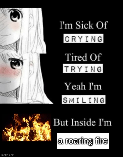 thi is not a meme it is to whoever feels like this... | a roaring fire | image tagged in i'm sick of crying,poems | made w/ Imgflip meme maker