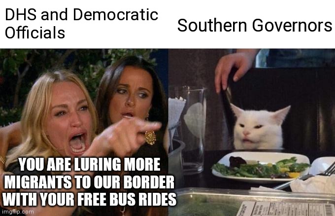 Really? Top Border chief started this attempt at a new blame game | DHS and Democratic
Officials; Southern Governors; YOU ARE LURING MORE MIGRANTS TO OUR BORDER WITH YOUR FREE BUS RIDES | image tagged in memes,woman yelling at cat,democrats,border,illegal immigration | made w/ Imgflip meme maker