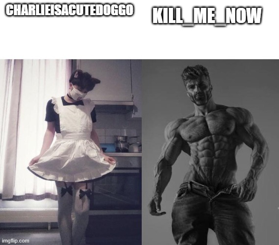 Giga chad vs femboy | CHARLIEISACUTEDOGGO KILL_ME_NOW | image tagged in giga chad vs femboy | made w/ Imgflip meme maker