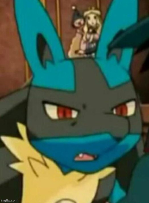 WTF lucario | image tagged in wtf lucario | made w/ Imgflip meme maker