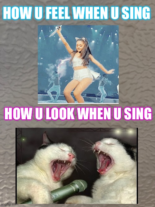 When u sing | HOW U FEEL WHEN U SING; HOW U LOOK WHEN U SING | image tagged in singing,ariana grande,cats | made w/ Imgflip meme maker