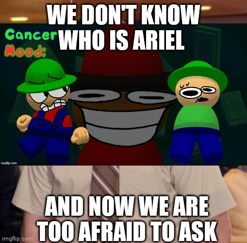 What the....... | WE DON'T KNOW WHO IS ARIEL; AND NOW WE ARE TOO AFRAID TO ASK | image tagged in and at this point i am to afraid to ask | made w/ Imgflip meme maker