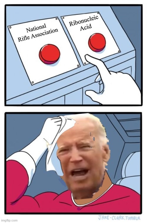 Two Buttons | Ribonucleic Acid; National Rifle Association | image tagged in two buttons,nra,rna,joe biden | made w/ Imgflip meme maker