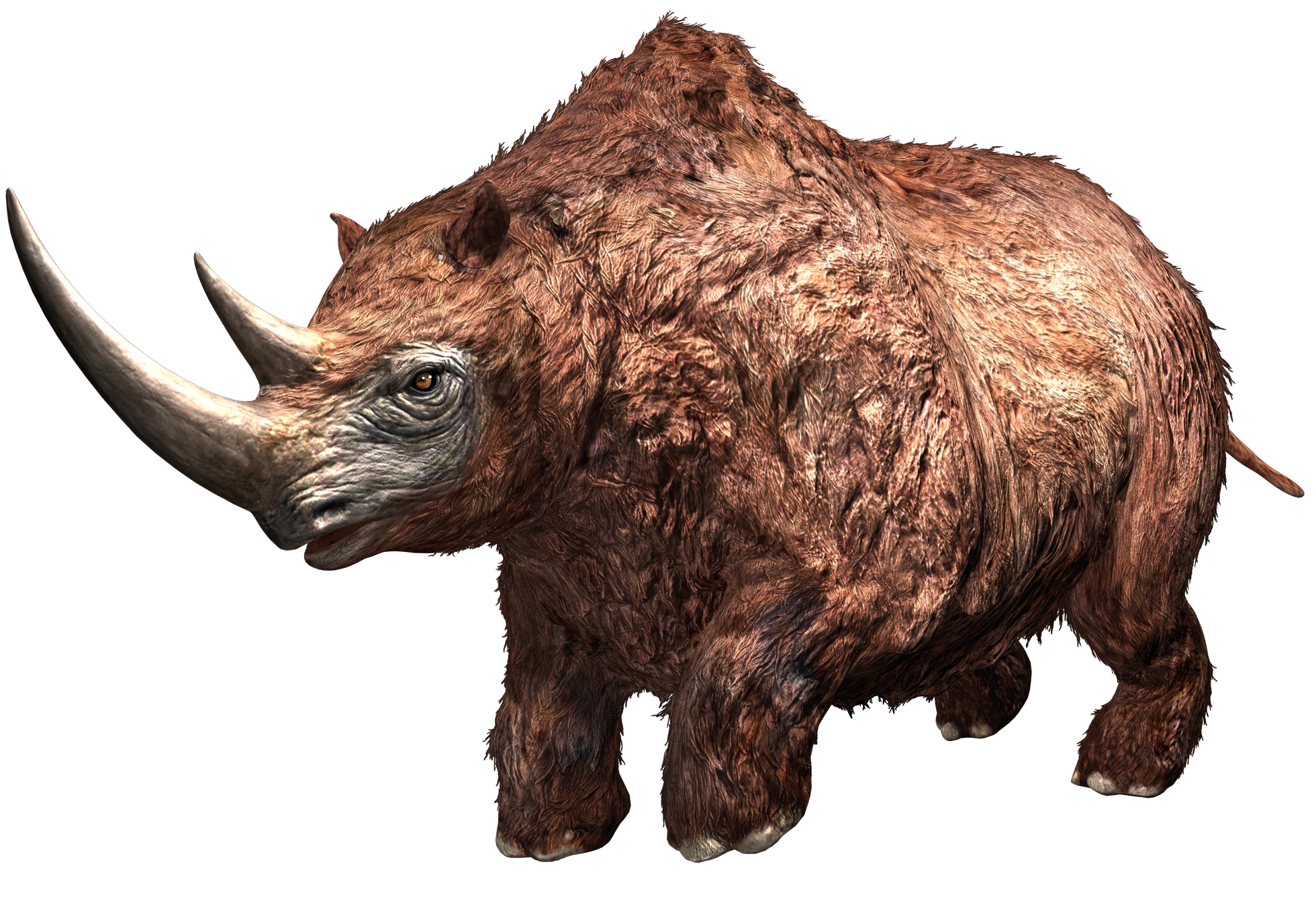 Woolly Rhinoceros (JWA Design) Blank Meme Template