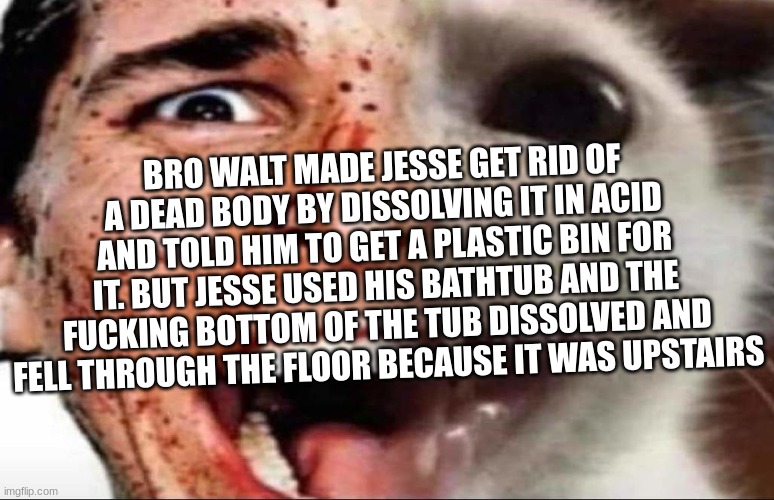 american psycho cat | BRO WALT MADE JESSE GET RID OF A DEAD BODY BY DISSOLVING IT IN ACID AND TOLD HIM TO GET A PLASTIC BIN FOR IT. BUT JESSE USED HIS BATHTUB AND THE FUCKING BOTTOM OF THE TUB DISSOLVED AND FELL THROUGH THE FLOOR BECAUSE IT WAS UPSTAIRS | image tagged in american psycho cat | made w/ Imgflip meme maker