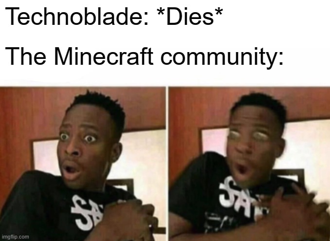 R.I.P Technoblade | Technoblade: *Dies*; The Minecraft community: | image tagged in shocked black guy,rip technoblade | made w/ Imgflip meme maker