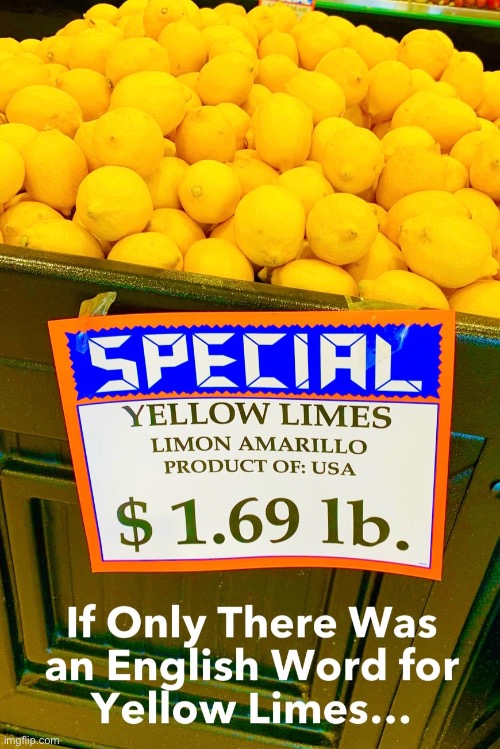 Yellow Limes | image tagged in grocery,limes,english | made w/ Imgflip meme maker