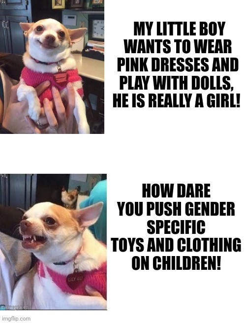 Happy angry chihuahua vertical | HOW DARE YOU PUSH GENDER SPECIFIC TOYS AND CLOTHING ON CHILDREN! MY LITTLE BOY WANTS TO WEAR PINK DRESSES AND PLAY WITH DOLLS,  HE IS REALLY | image tagged in happy angry chihuahua vertical | made w/ Imgflip meme maker
