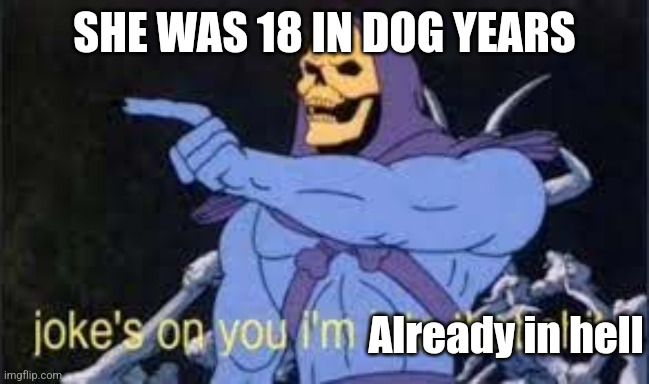 Can someone bail? | SHE WAS 18 IN DOG YEARS; Already in hell | image tagged in jokes on you im into that shit,she was 18 in dog years | made w/ Imgflip meme maker