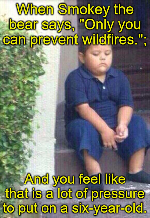 Prevent Wildfires |  When Smokey the bear says, "Only you can prevent wildfires.";; And you feel like that is a lot of pressure to put on a six-year-old. | image tagged in sad mexican boy | made w/ Imgflip meme maker