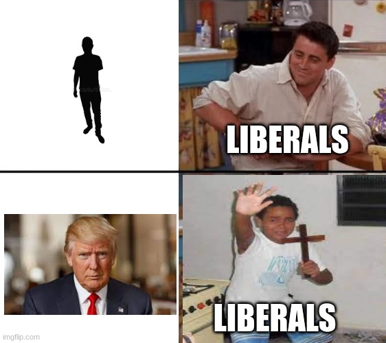 aaaaaaaaaaaaaaaaaaaaaaaaaaaaaaaaaaaaaaaa | LIBERALS; LIBERALS | image tagged in donald trump,liberals,kid with cross,surprised joey | made w/ Imgflip meme maker