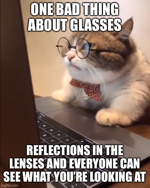 research cat | ONE BAD THING ABOUT GLASSES; REFLECTIONS IN THE LENSES AND EVERYONE CAN SEE WHAT YOU’RE LOOKING AT | image tagged in research cat | made w/ Imgflip meme maker
