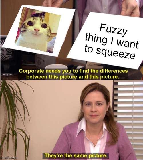 Do you have any cats? |  Fuzzy thing I want to squeeze | image tagged in memes,they're the same picture,cats,meme | made w/ Imgflip meme maker