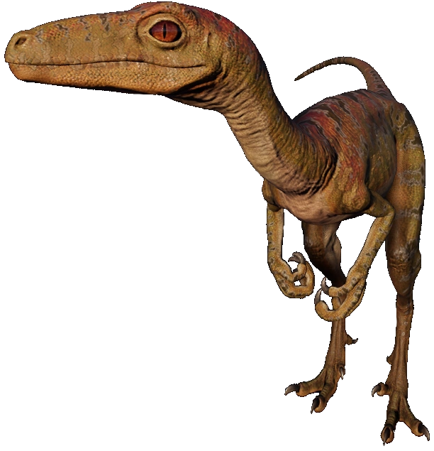 Troodon 2 (JWE Design) Blank Meme Template