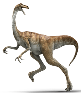 Gallimimus 9 Blank Meme Template
