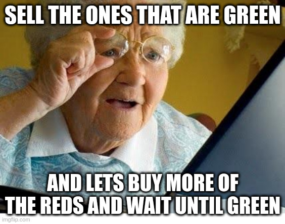 old lady at computer | SELL THE ONES THAT ARE GREEN; AND LETS BUY MORE OF THE REDS AND WAIT UNTIL GREEN | image tagged in old lady at computer | made w/ Imgflip meme maker