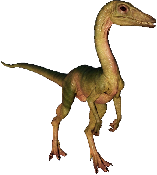 Compsognathus 2 Blank Meme Template