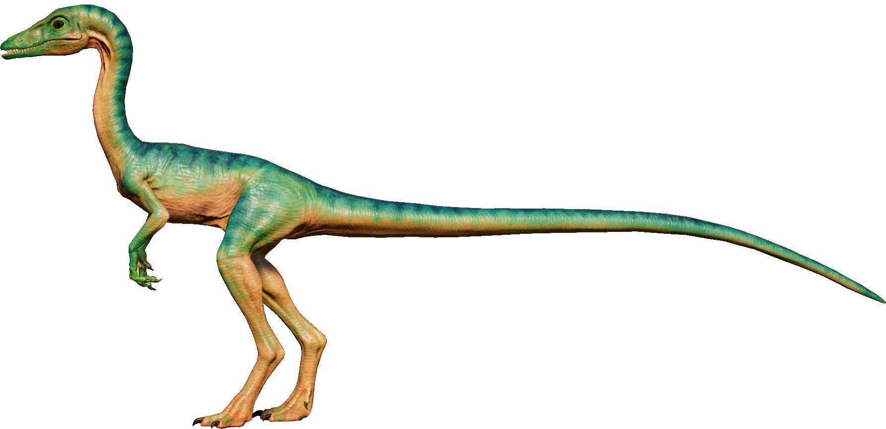 Compsognathus 3 Blank Meme Template
