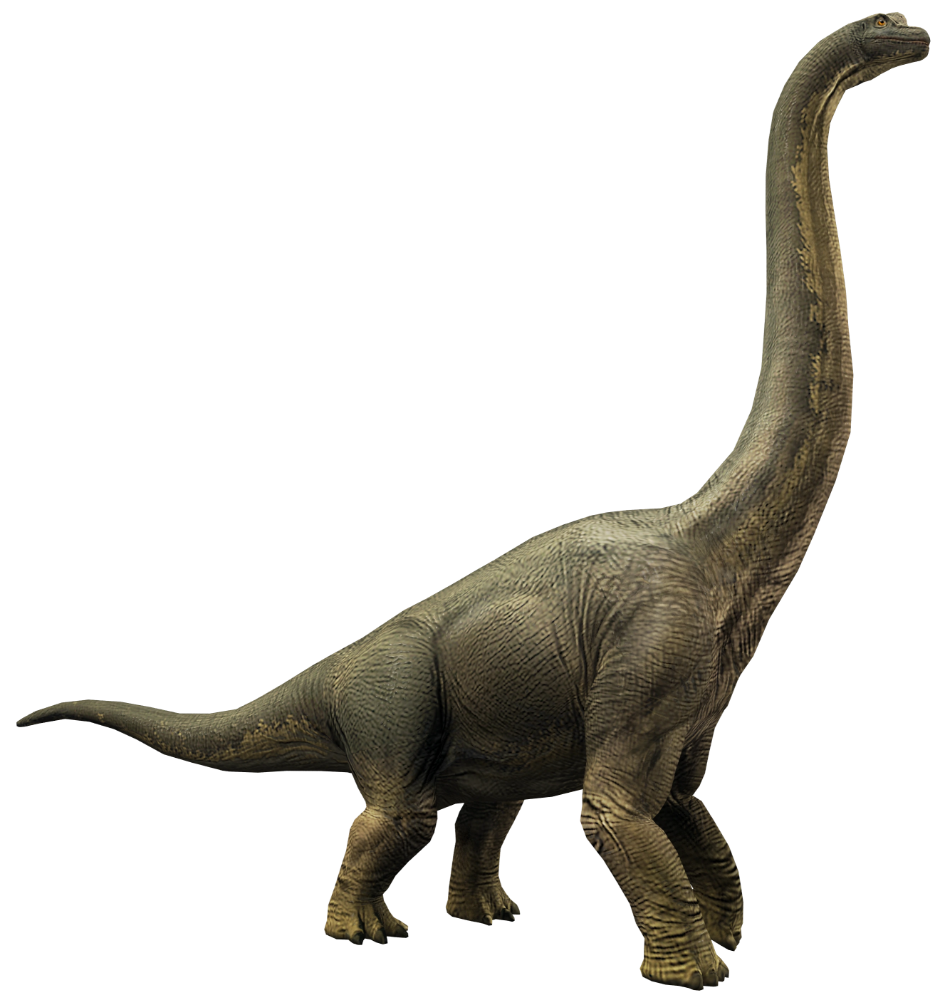 Brachiosaurus 2 Blank Meme Template