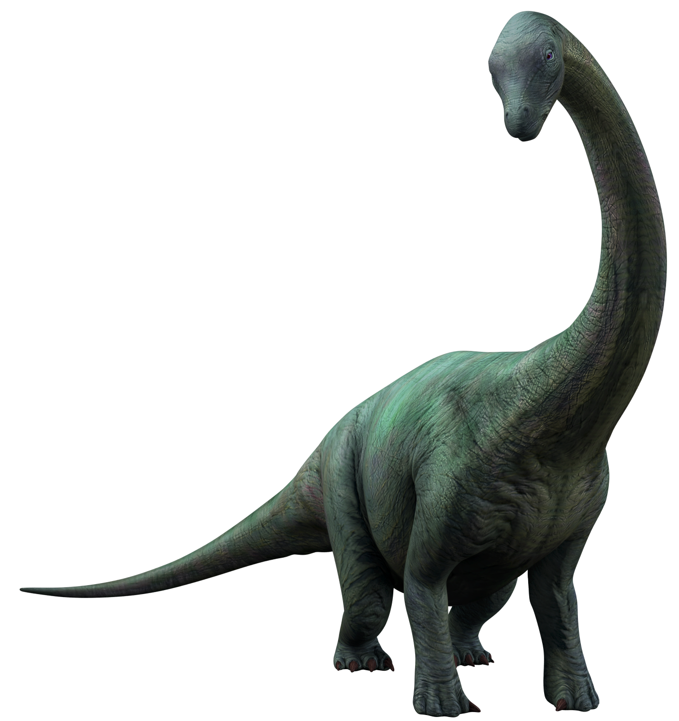 Apatosaurus 3 Blank Meme Template
