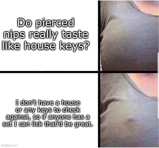 Piercings taste like? | Do pierced nips really taste like house keys? I don’t have a house or any keys to check against, so if anyone has a set I can lick that’d be great. | image tagged in girl nipples hard,taste,trying,piercings | made w/ Imgflip meme maker