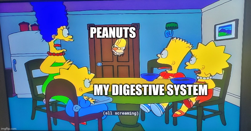 Yes I took a picture on my TV. I couldn't find an image on the web like this. |  PEANUTS; MY DIGESTIVE SYSTEM | image tagged in memes,the simpsons | made w/ Imgflip meme maker