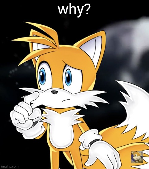 why? | image tagged in tails thinking | made w/ Imgflip meme maker