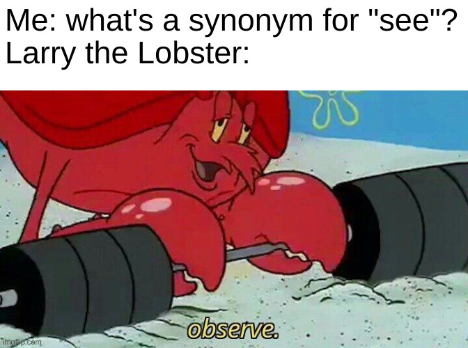 Time for an antimeme! |  Me: what's a synonym for "see"?
Larry the Lobster: | image tagged in observe,anti-meme,spongebob | made w/ Imgflip meme maker