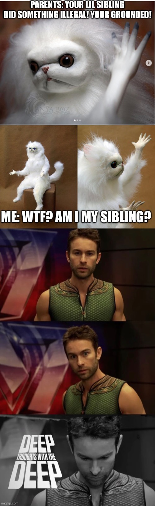Partial credit to GreenTelevisionGames | PARENTS: YOUR LIL SIBLING DID SOMETHING ILLEGAL! YOUR GROUNDED! ME: WTF? AM I MY SIBLING? | image tagged in cat slap,memes,persian cat room guardian,deep thoughts with the deep | made w/ Imgflip meme maker