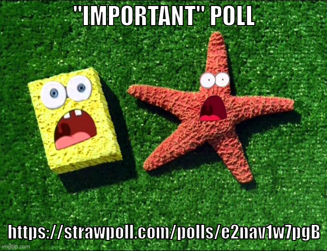 https://strawpoll.com/polls/e2nav1w7pgB | "IMPORTANT" POLL; https://strawpoll.com/polls/e2nav1w7pgB | image tagged in memes,funny,sponge and star,poll,imgflip,ip ban | made w/ Imgflip meme maker