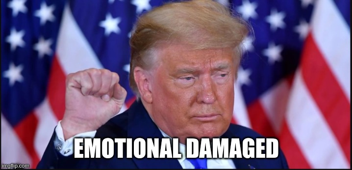 EMOTIONAL DAMAGED | image tagged in president trump | made w/ Imgflip meme maker