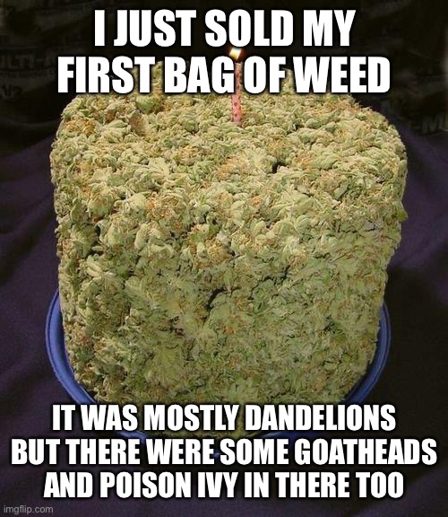 No refunds | I JUST SOLD MY FIRST BAG OF WEED; IT WAS MOSTLY DANDELIONS BUT THERE WERE SOME GOATHEADS AND POISON IVY IN THERE TOO | image tagged in weed cake | made w/ Imgflip meme maker