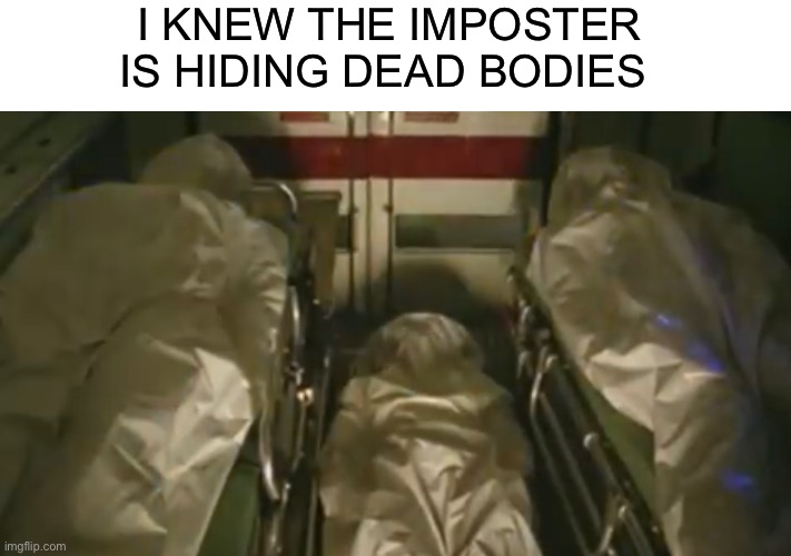 Oh god | I KNEW THE IMPOSTER IS HIDING DEAD BODIES | image tagged in meme,memes,among us | made w/ Imgflip meme maker