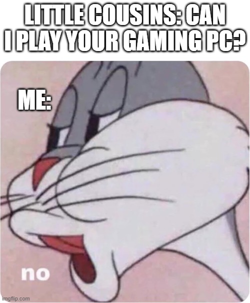 No | LITTLE COUSINS: CAN I PLAY YOUR GAMING PC? ME: | image tagged in bugs bunny no,memes | made w/ Imgflip meme maker
