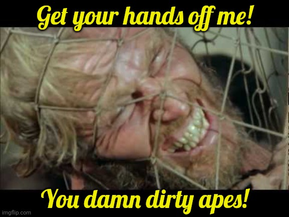 Mfmg when monkee | Get your hands off me! You damn dirty apes! | image tagged in damn dirty apes,monkee,no,this is not okie dokie | made w/ Imgflip meme maker