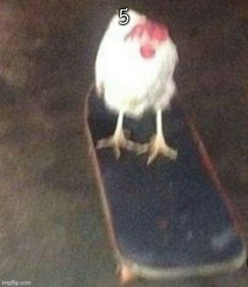 Dog on skateboard | 5 | image tagged in dog on skateboard | made w/ Imgflip meme maker