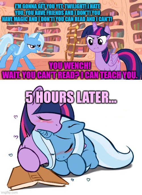 Trixie x Twilight | I'M GONNA GET YOU YET, TWILIGHT! I HATE YOU. YOU HAVE FRIENDS AND I DON'T! YOU HAVE MAGIC AND I DON'T! YOU CAN READ AND I CAN'T! YOU WENCH!
WAIT. YOU CAN'T READ? I CAN TEACH YOU. 5 HOURS LATER... | image tagged in mlp library,trixie,twilight,pony,problems | made w/ Imgflip meme maker