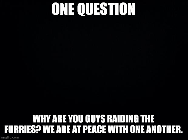Black background | ONE QUESTION; WHY ARE YOU GUYS RAIDING THE FURRIES? WE ARE AT PEACE WITH ONE ANOTHER. | image tagged in black background | made w/ Imgflip meme maker