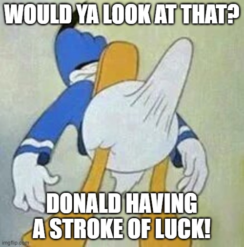 Erection donald | WOULD YA LOOK AT THAT? DONALD HAVING A STROKE OF LUCK! | image tagged in erection donald | made w/ Imgflip meme maker